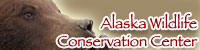 Alaska Wildlife Conservation Center