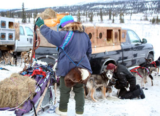cantwell classic dog race