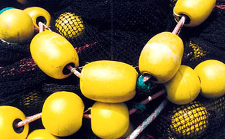 homer yellow floats