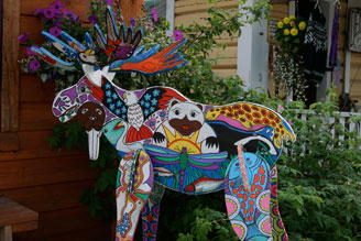 talkeetna moose